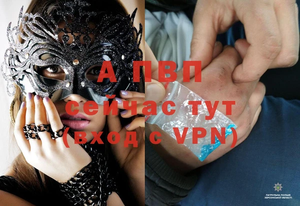 ALPHA PVP Осинники