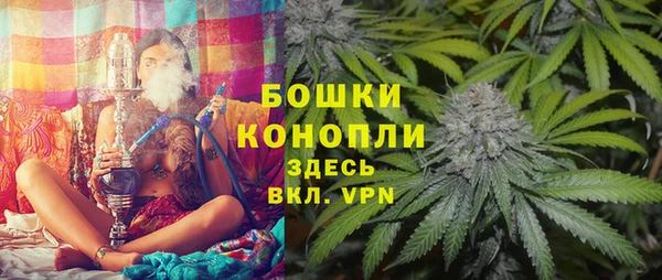 ALPHA PVP Осинники