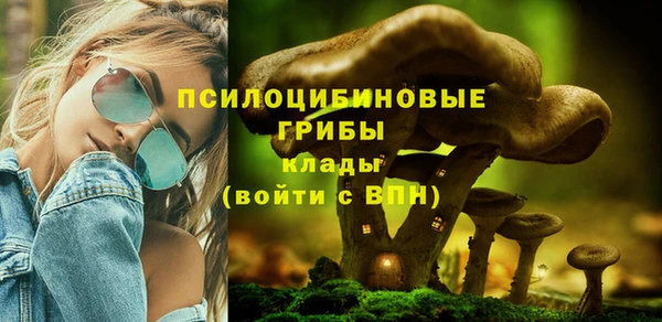 ALPHA PVP Осинники
