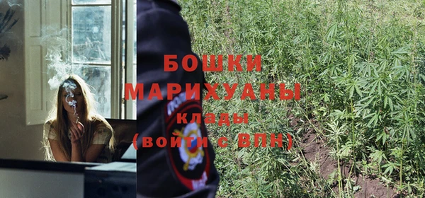 бошки Осташков