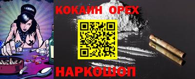 крисы Камышлов