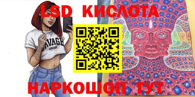 крисы Камышлов