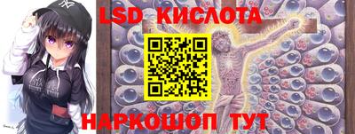 крисы Камышлов