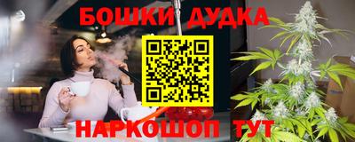 крисы Камышлов