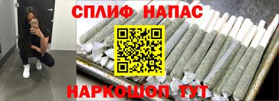 крисы Камышлов