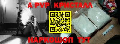 крисы Камышлов