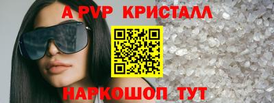 крисы Камышлов
