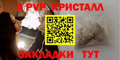 крисы Камышлов