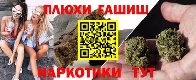 крисы Камышлов