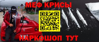 крисы Камышлов