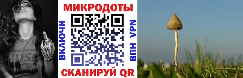 Псилоцибиновые грибы GOLDEN TEACHER  Курчалой 